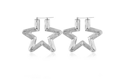Alloy Earrings - Statement Geometric Women’s Earrings